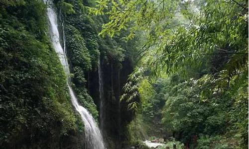 重庆黑山谷门票价格_重庆黑山谷旅游攻略