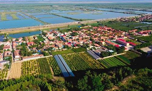 陕西渭南大荔一周的天气预报_陕西省渭南市大荔县天气预报一周