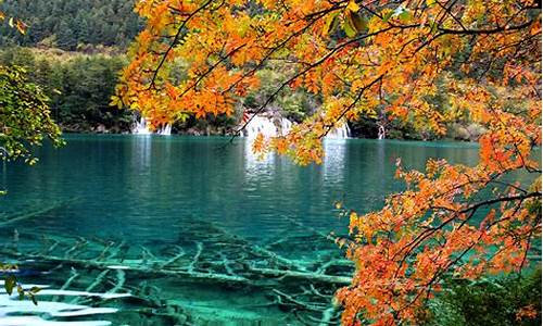 天气预报九寨沟风景区的天气准吗_天气预报