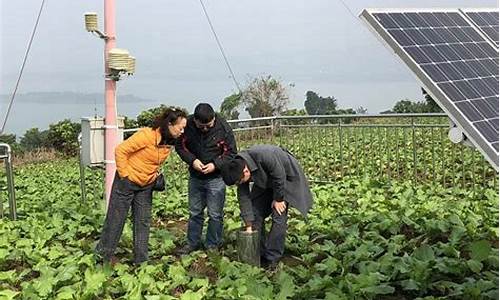 气象服务助力乡村振兴发言_农村气象服务