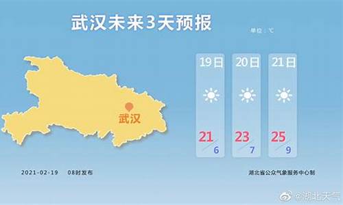 10日武汉天气_10天武汉天气预报