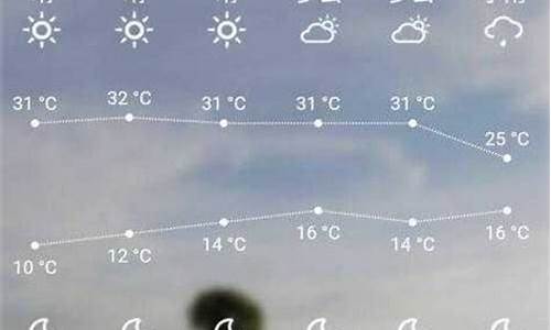 叶城天气预报一周7天查询_叶城天气预报15天查询