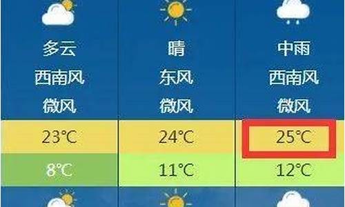 阜阳天气预报查询结果_阜阳天气预报查询结果今天