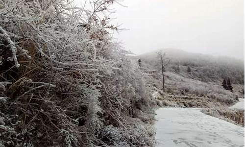 湖南今年会下雪吗_湖南今年会下雪吗2024年